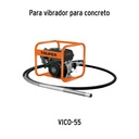 BAYO-VICO-55+FC1.jpg