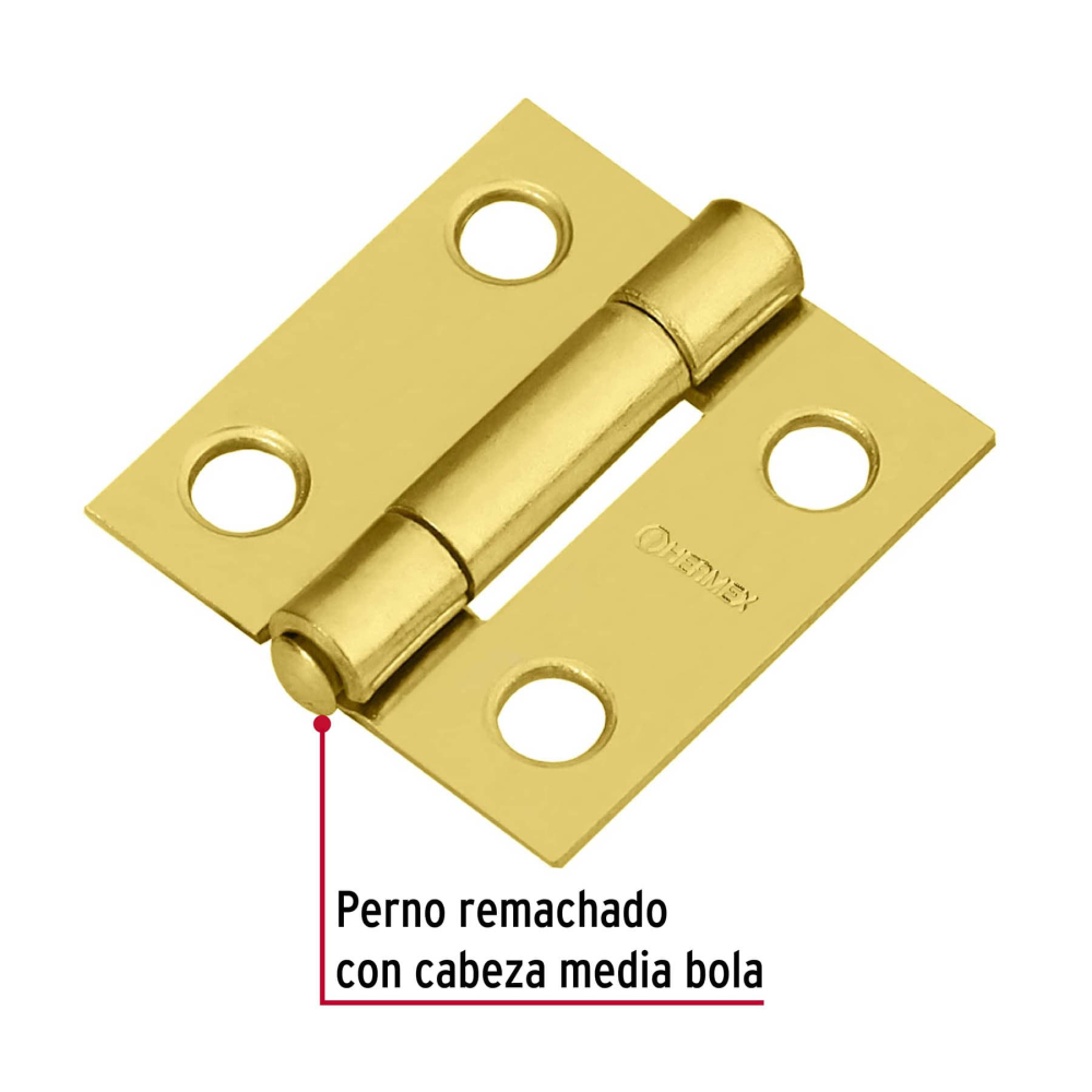 BR-101+D1.jpg
