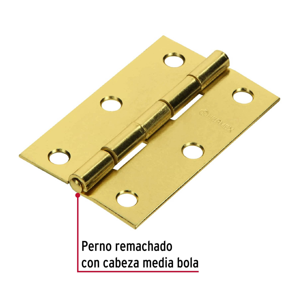 BR-251+D1.jpg