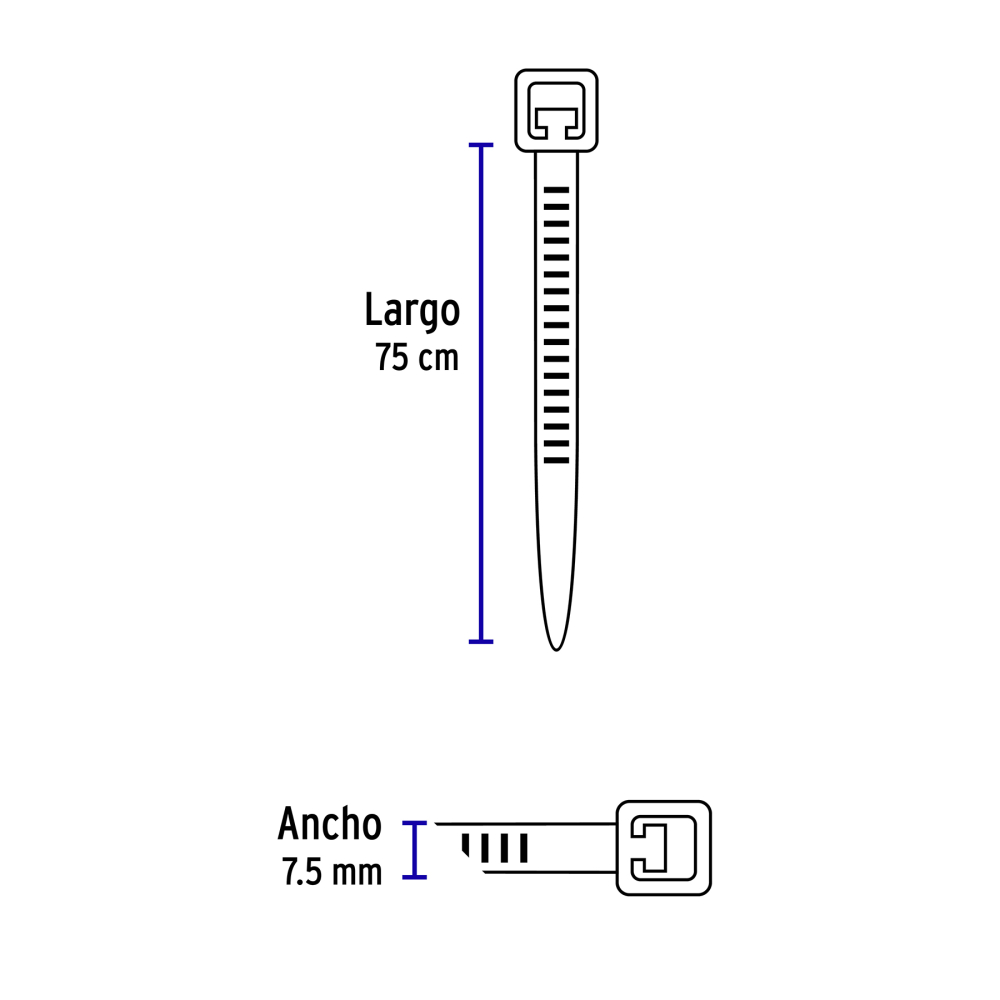 CIN-12075+FC2.jpg
