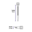 CIN-1810-M+D2.jpg