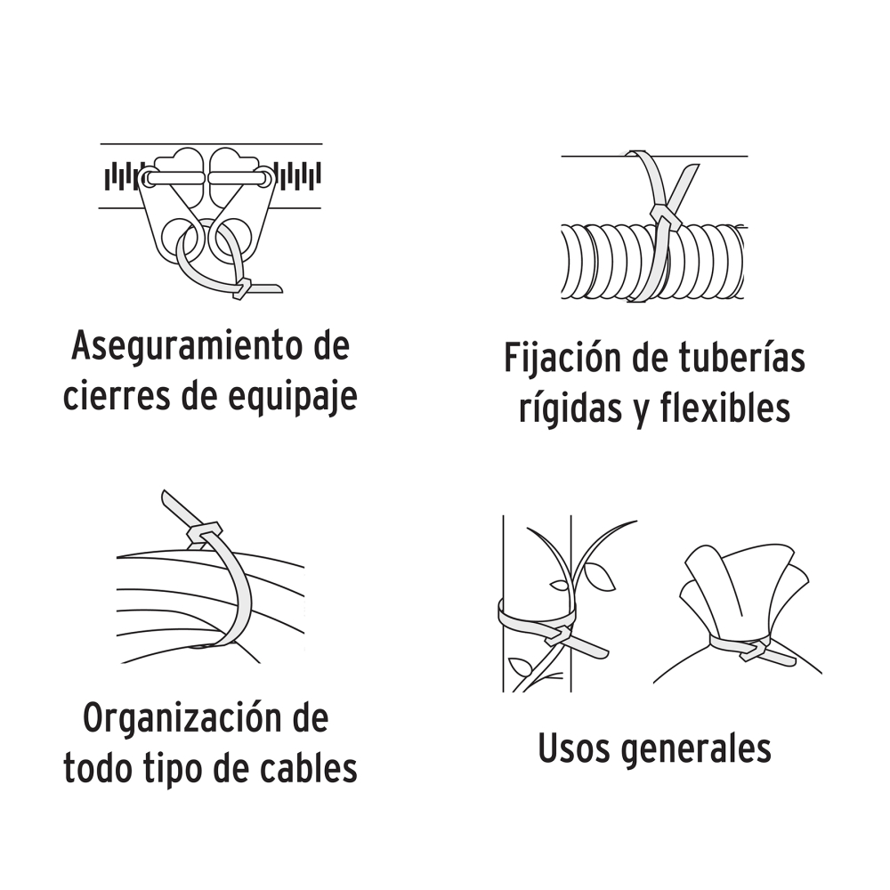 CIN-4025-M+D3.jpg