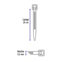 CIN-4025N-M+D2.jpg