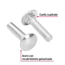 TORC-1-4X1+D1.jpg