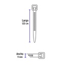 CIN-175120+FC2.jpg