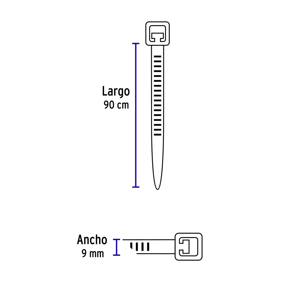 CIN-17590+FC2.jpg