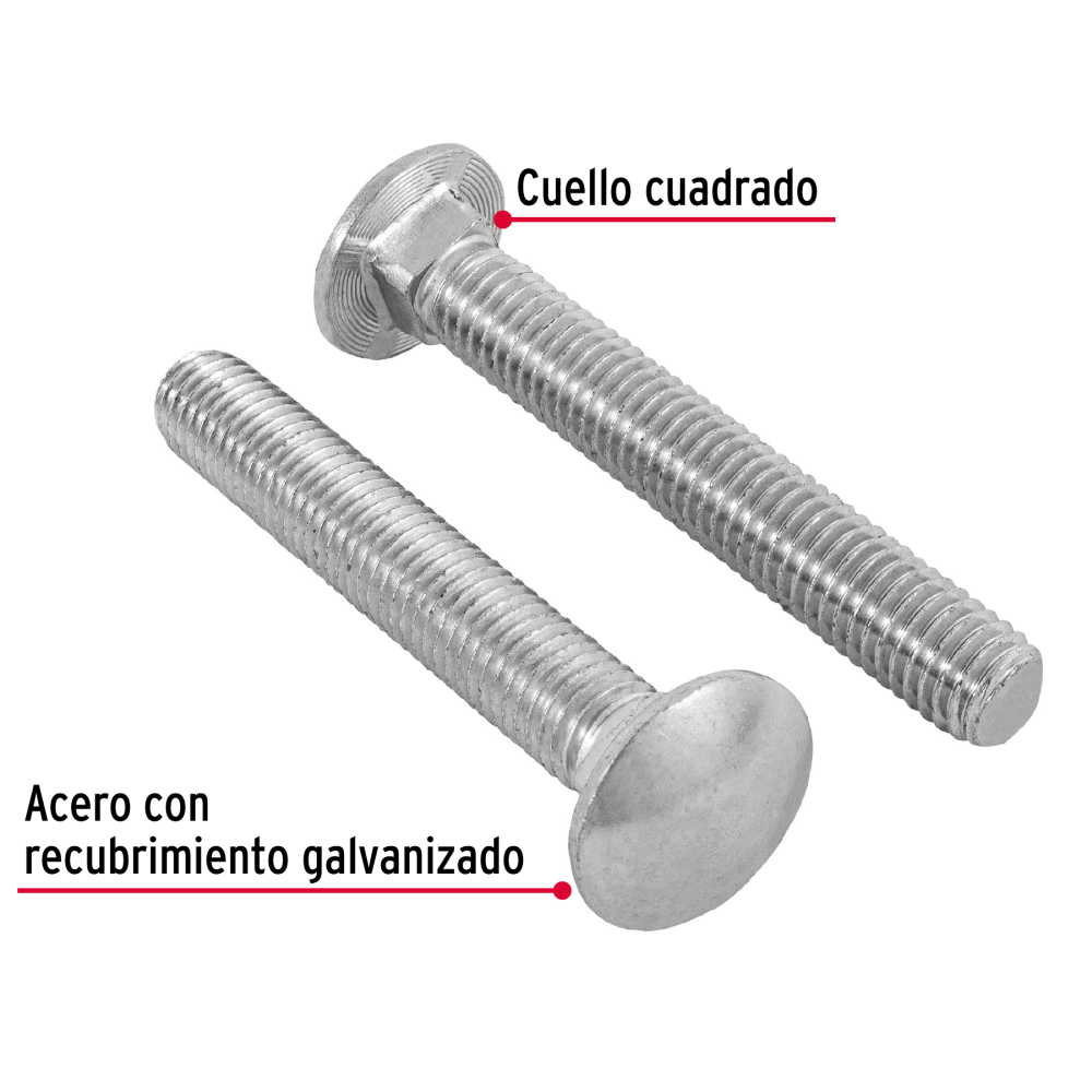 TORC-1-2X3-1-2+D1.jpg