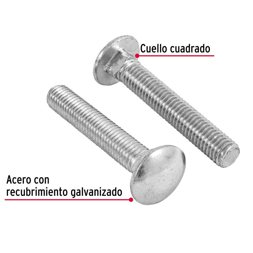 TORC-1-2X3+D1.jpg