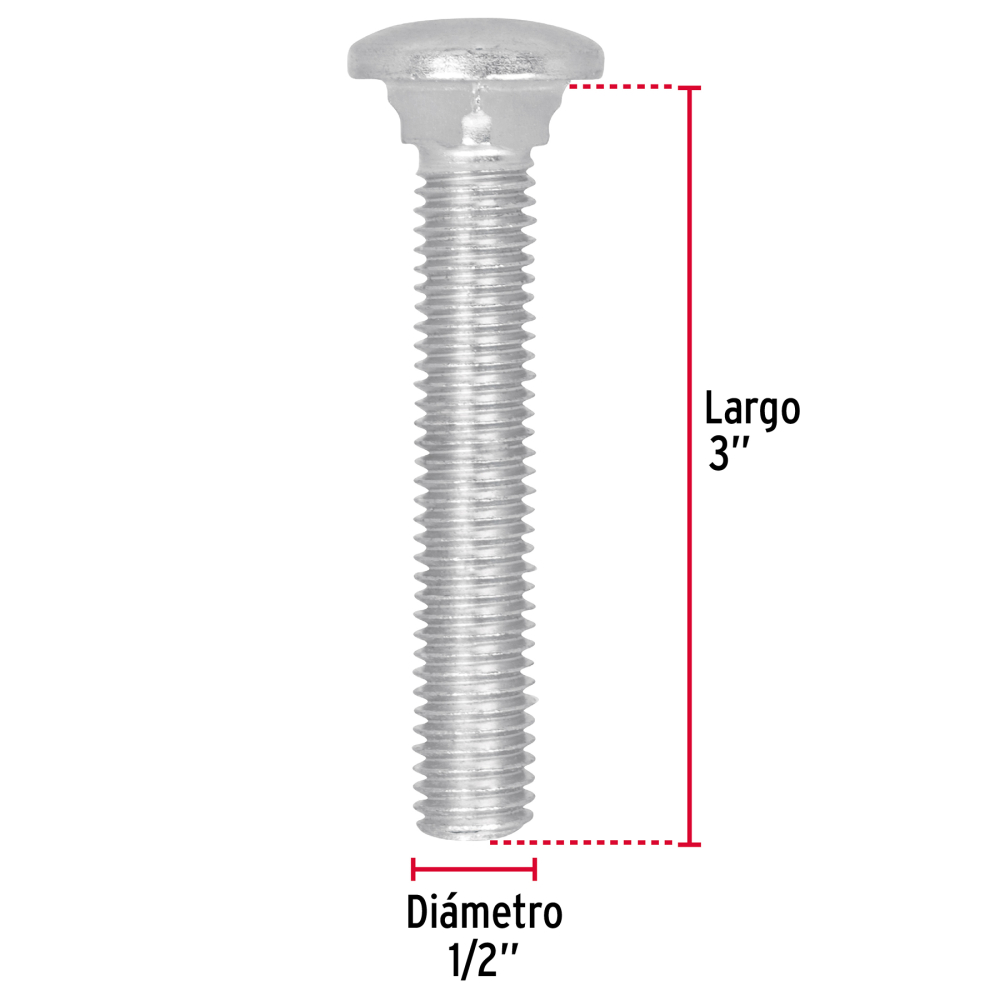 TORC-1-2X3+FC1.jpg