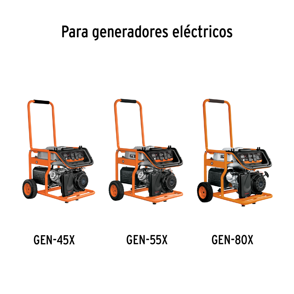 CB-GRUPO7+D1.jpg