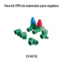 CV-CARCE+D3.jpg