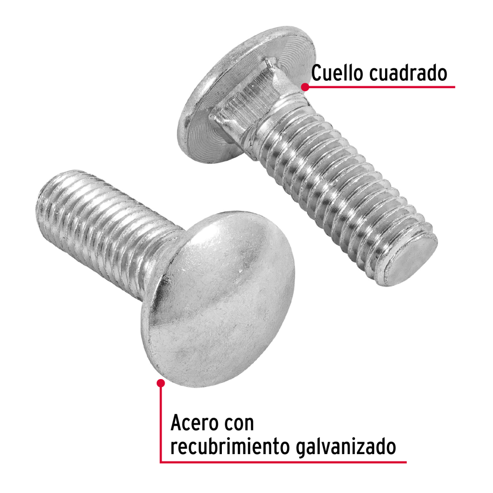 TORC-1-2X1-1-2+D1.jpg