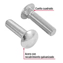 TORC-1-2X2+D1.jpg