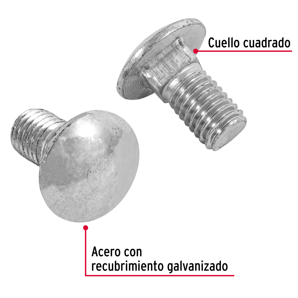 TORC-1-2X1+D1.jpg