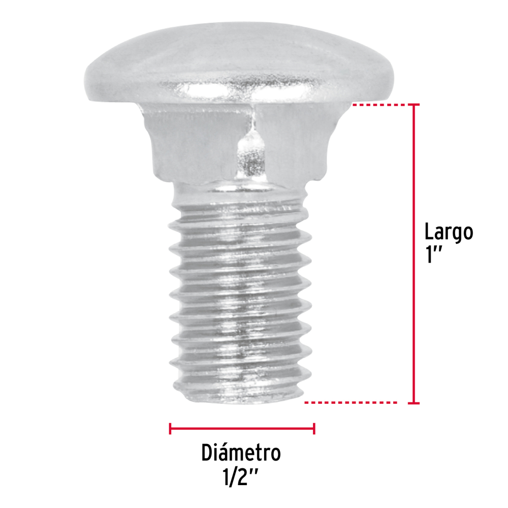 TORC-1-2X1+FC1.jpg