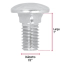 TORC-1-2X1+FC1.jpg