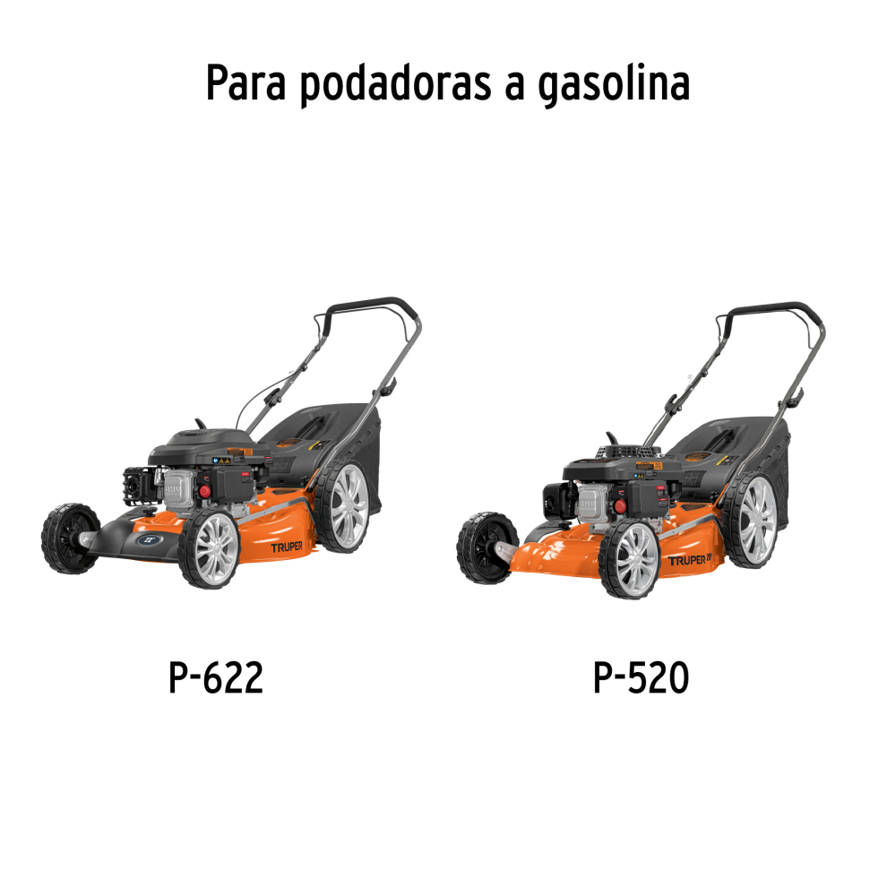 BOL-P+D1.jpg