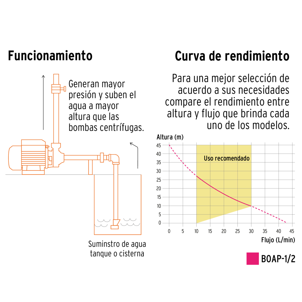 BOAP-1-2+FC2.jpg