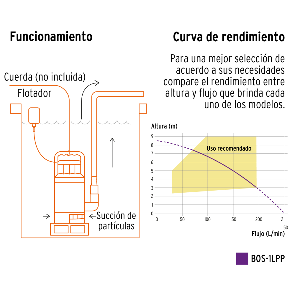 BOS-1LPP+FC3.jpg