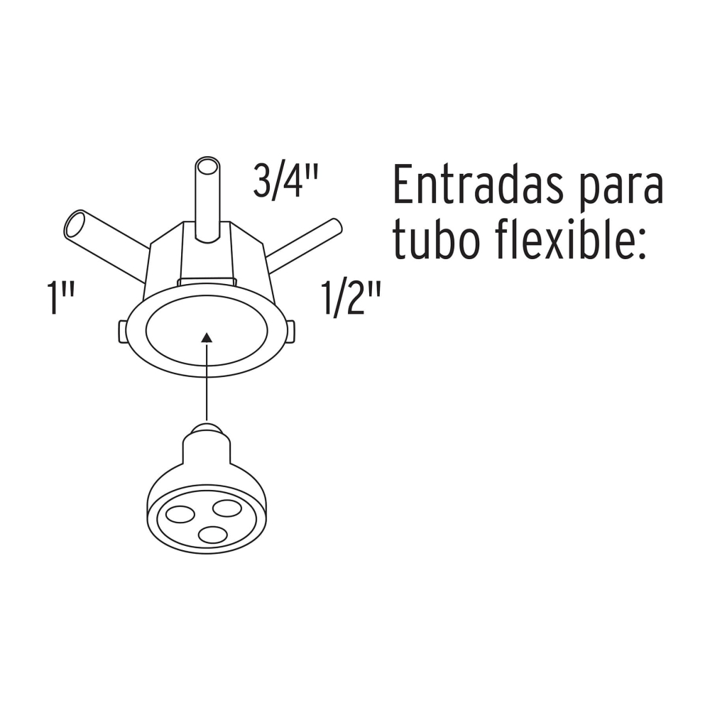 BOIN-1011+D1.jpg