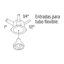 BOIN-1011+D1.jpg
