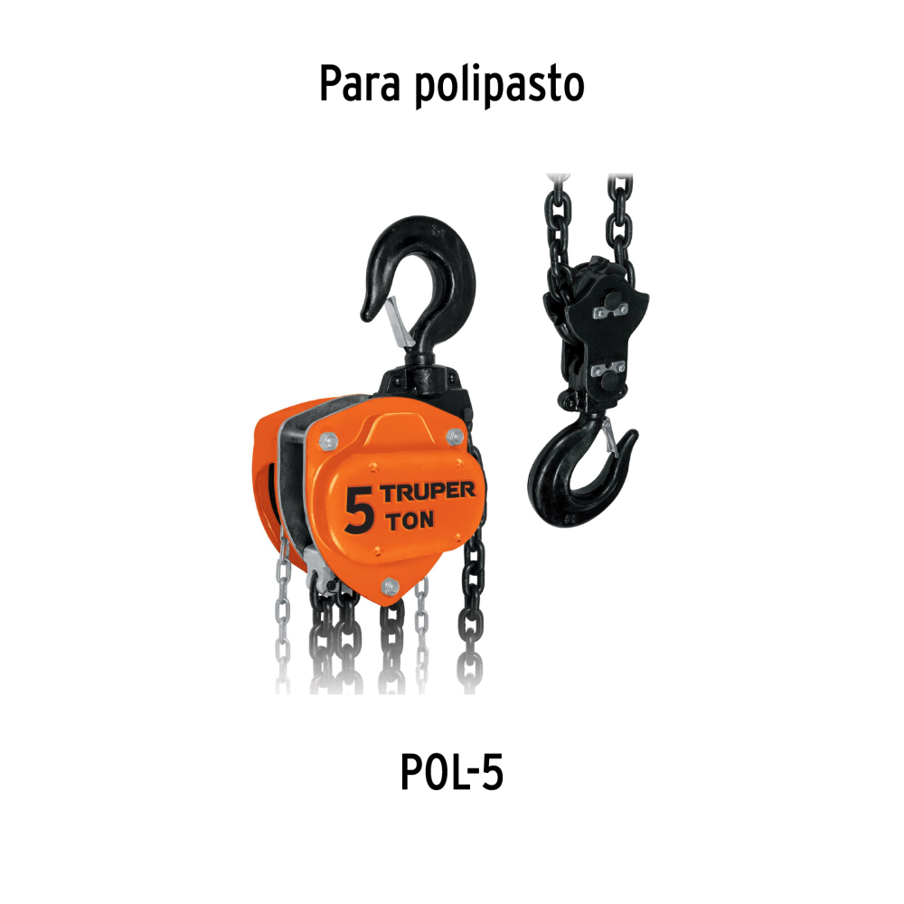 CA-POL-5+D2.jpg