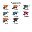 CARN+D1.jpg