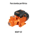 CJ-BOAP-1-2+D1.jpg