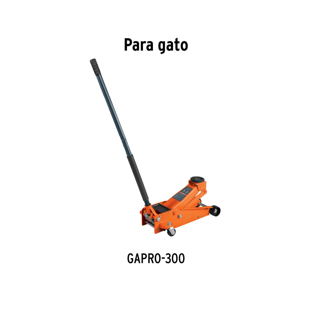 CJ-GAPRO-300+D1.jpg