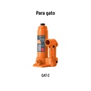 CJ-GAT-2+D1.jpg