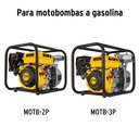 CB-GRUPO2+FC1.jpg