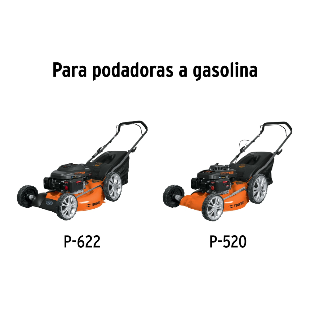 CB-P-GRUPO1+FC1.jpg