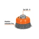 CO-508+FC1.jpg