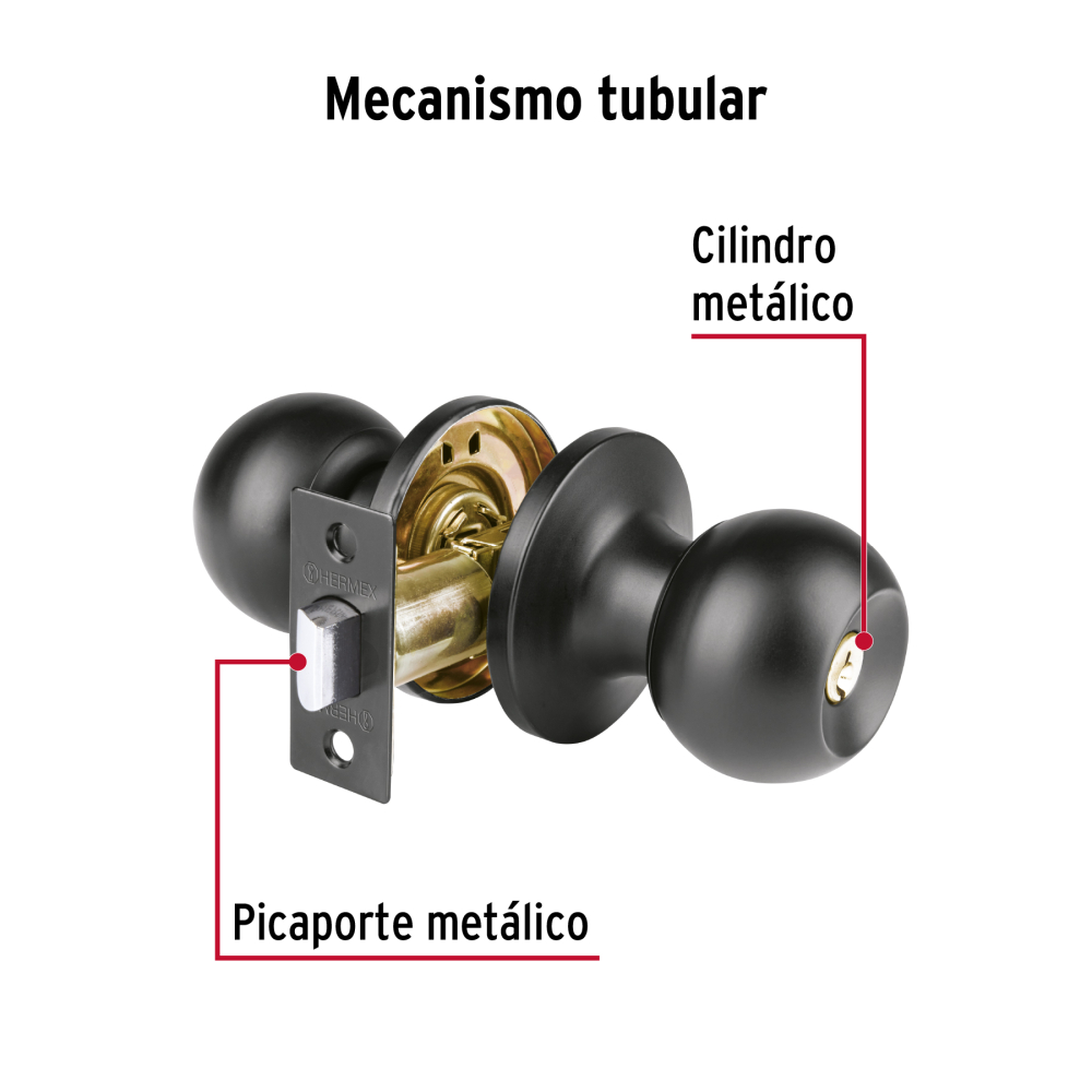 BALT-NE-BP+FC1.jpg