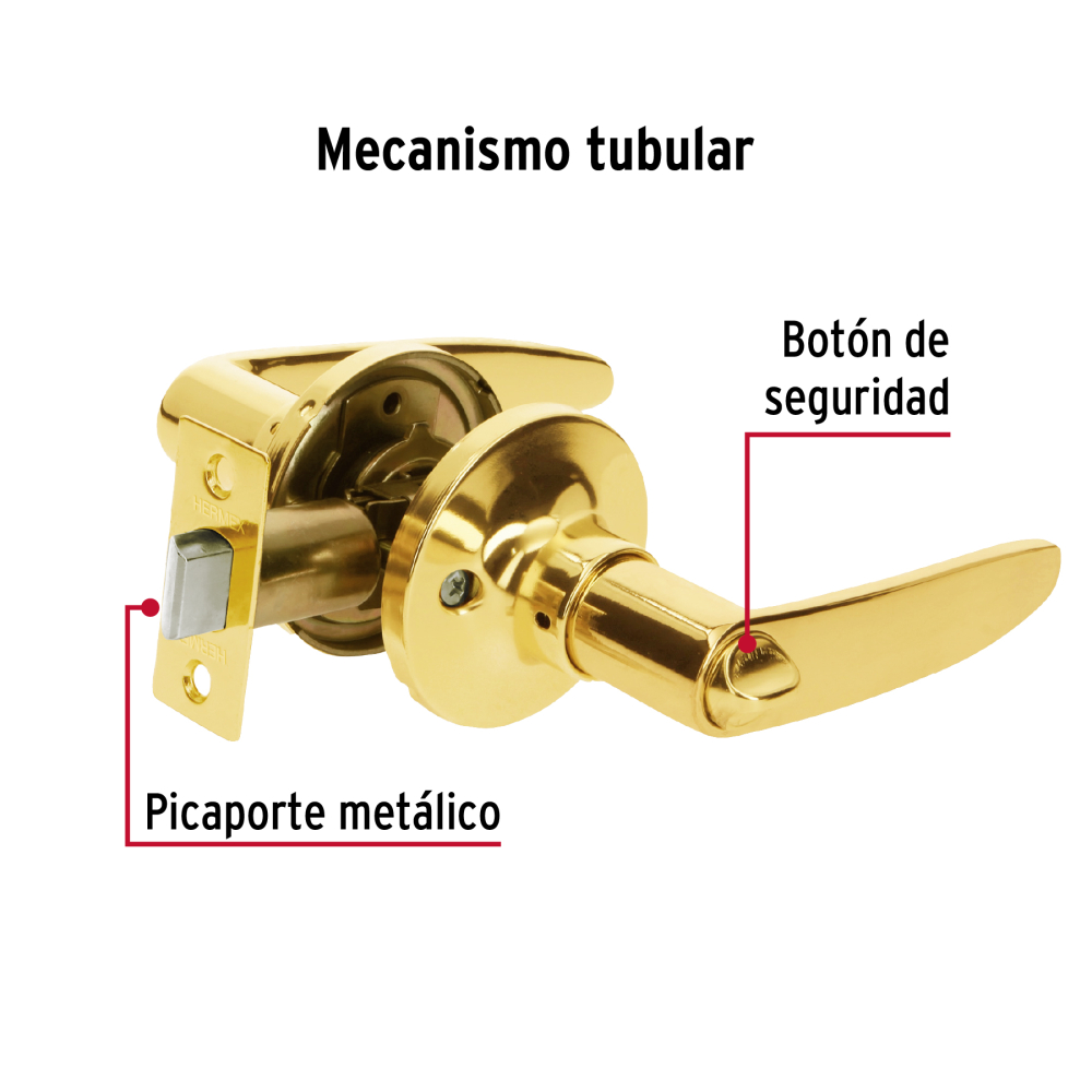 CEMA-1B+FC1.jpg