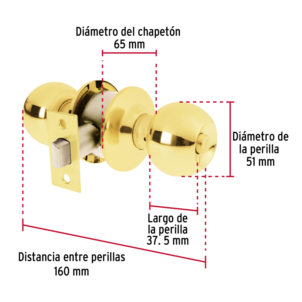 BAL-LB-BP+FC1.jpg