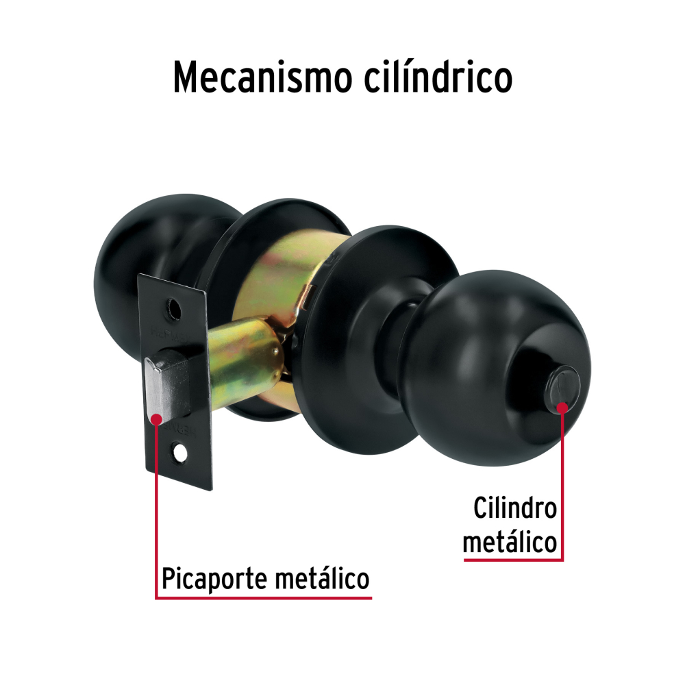 BAL-NE-BP+FC1.jpg