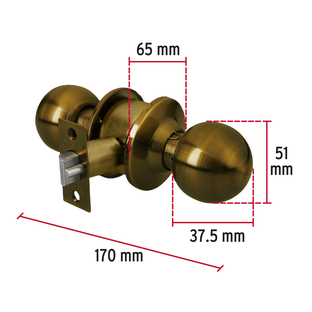 CEPO-21E+FC1.jpg