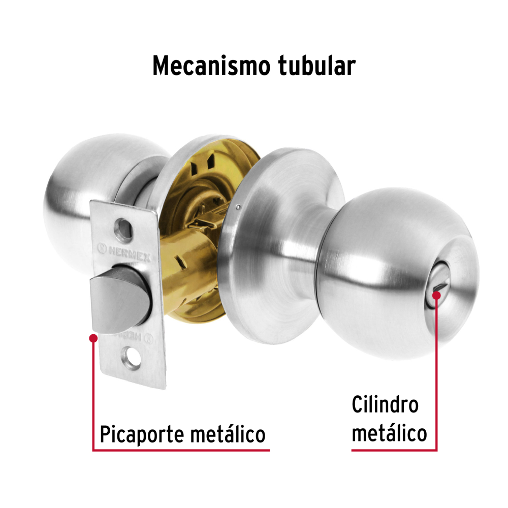 BALT-CM-BP+D2.jpg