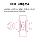 CERO-61P+D1.jpg