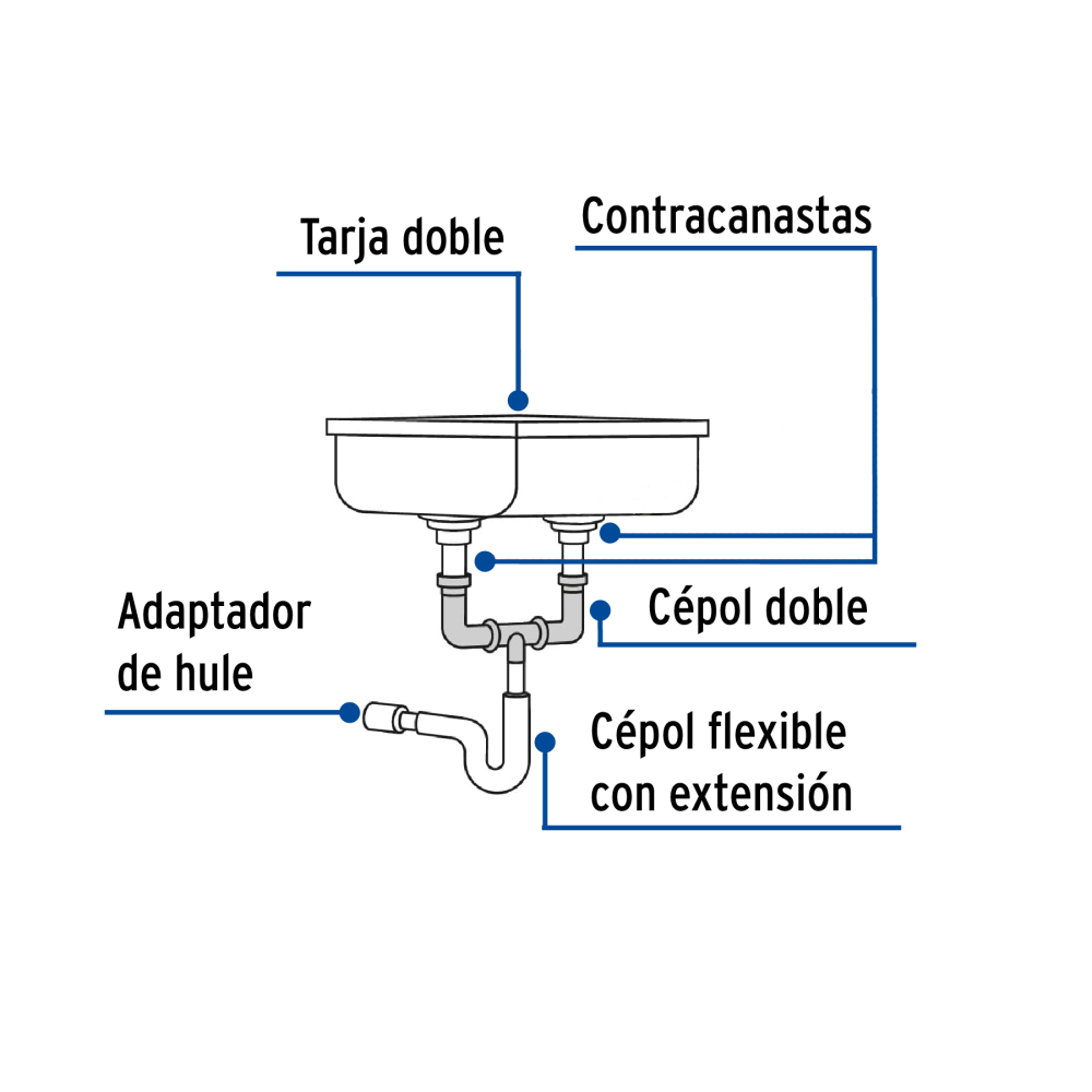 CED-11+D1.jpg