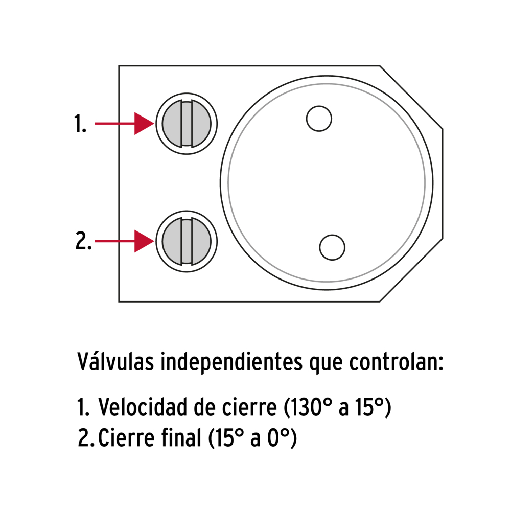 CIPU-B+FC1.jpg