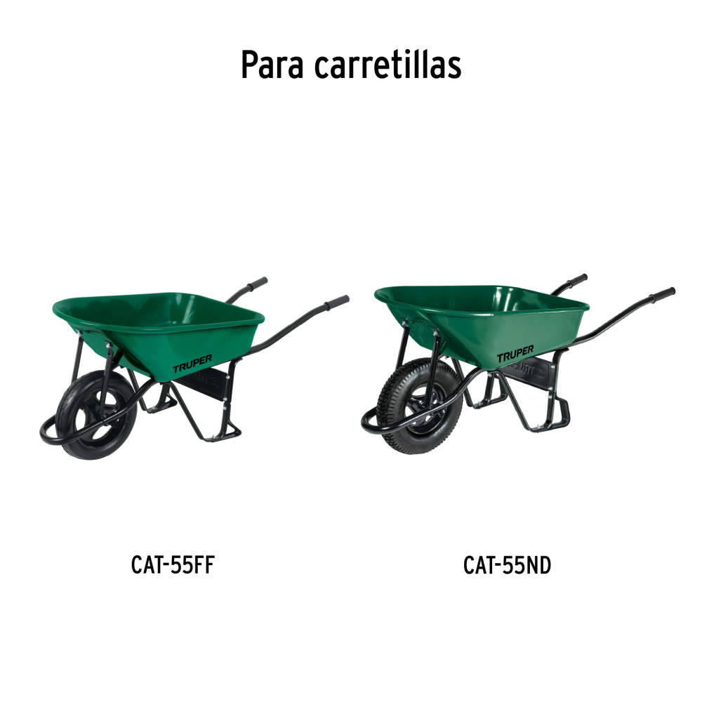 CO-55+D3.jpg