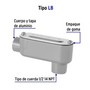 COLET-1-2-LB+FC1.jpg