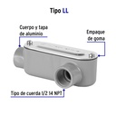 COLET-1-2-LL+FC1.jpg