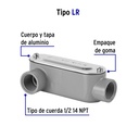 COLET-1-2-LR+FC1.jpg