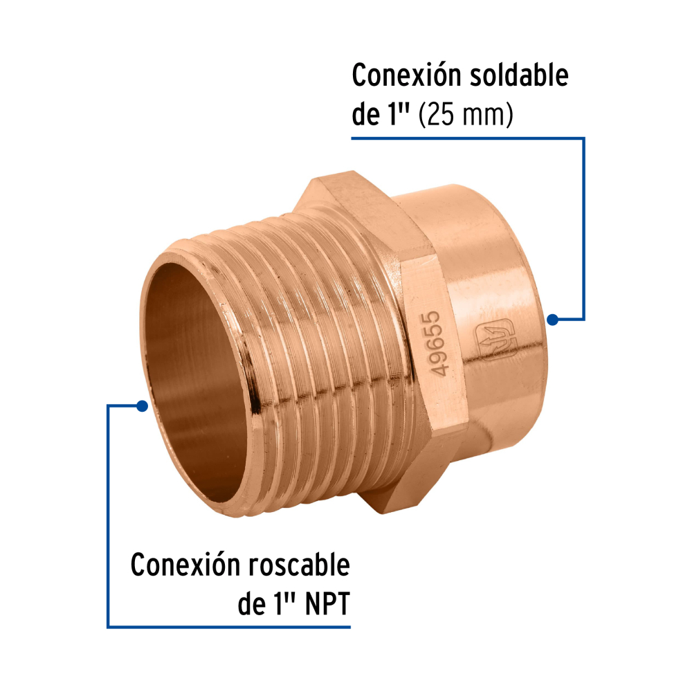 CC-613+FC1.jpg