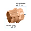 CC-613+FC1.jpg