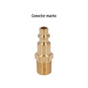 CORAL-MA-1-4+FC1.jpg