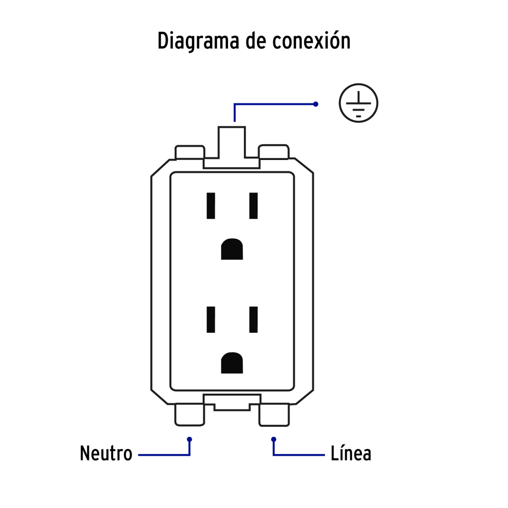 CODO-IN+FC2.jpg